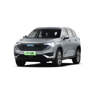 HAVAL EV H6