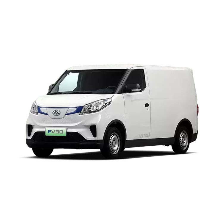 MAXUS EV30